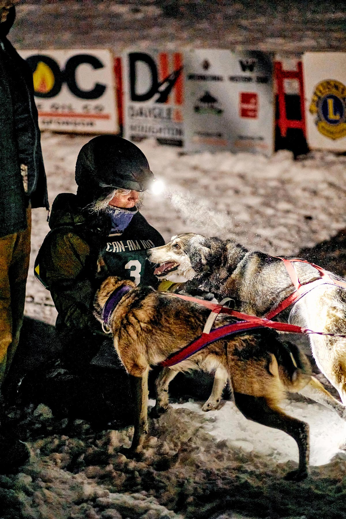 M_WilsonCan_AM-Dog-Sled00010