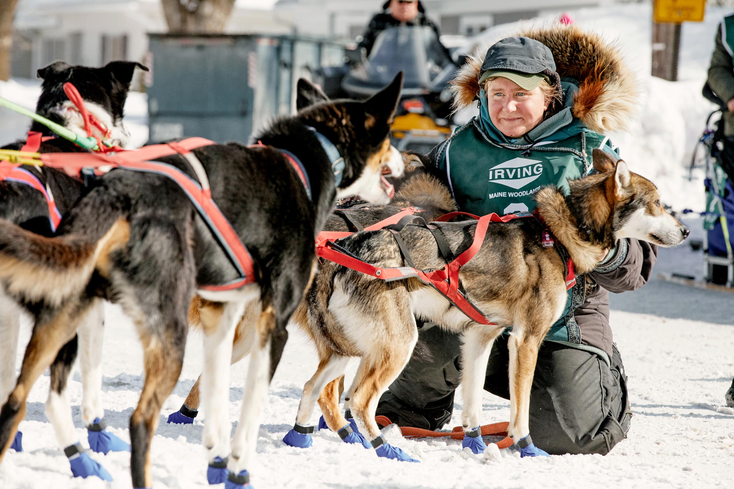 M_WilsonCan_AM-Dog-Sled00020