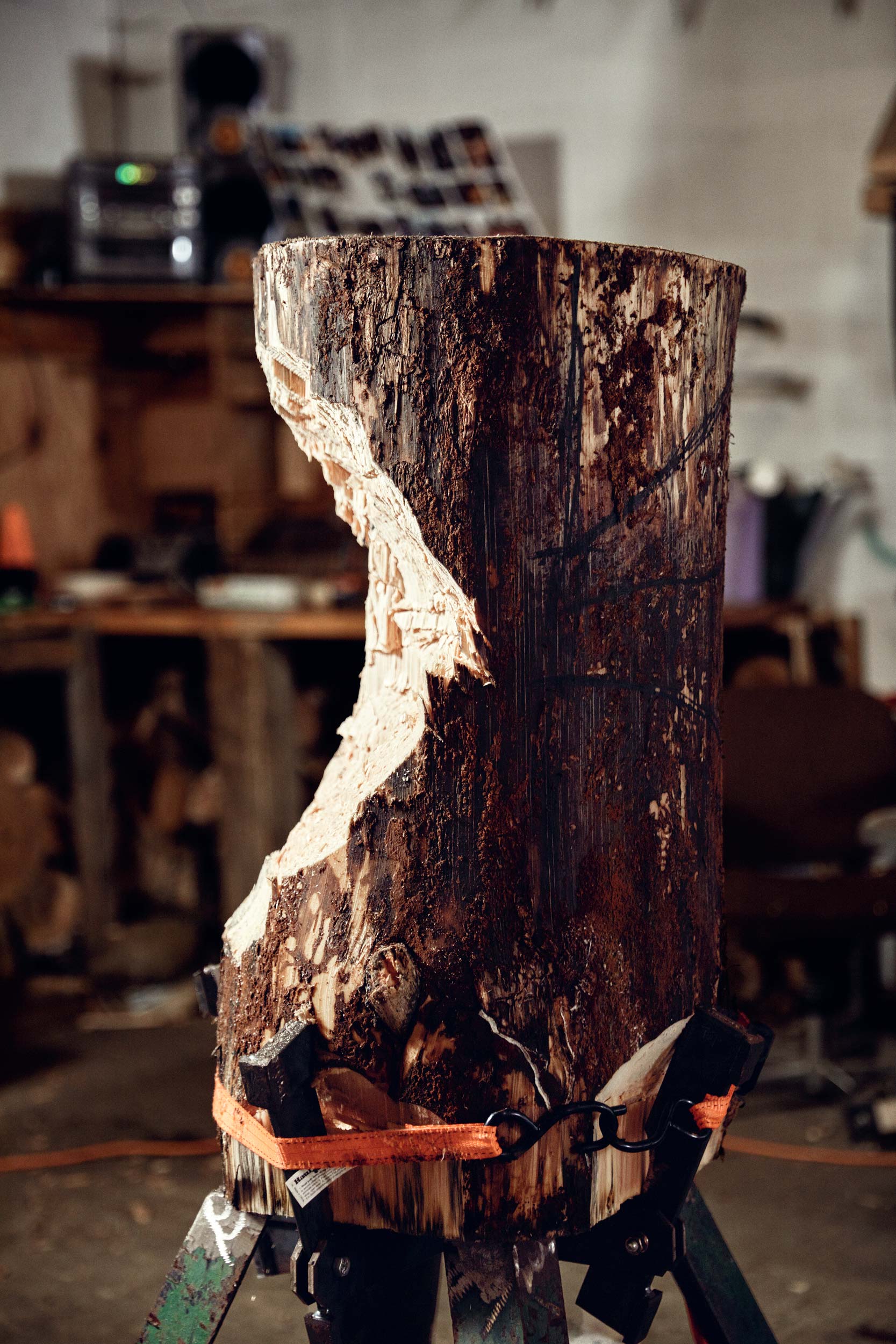 Maine-Unity-College-Woodsmen-Photos-6