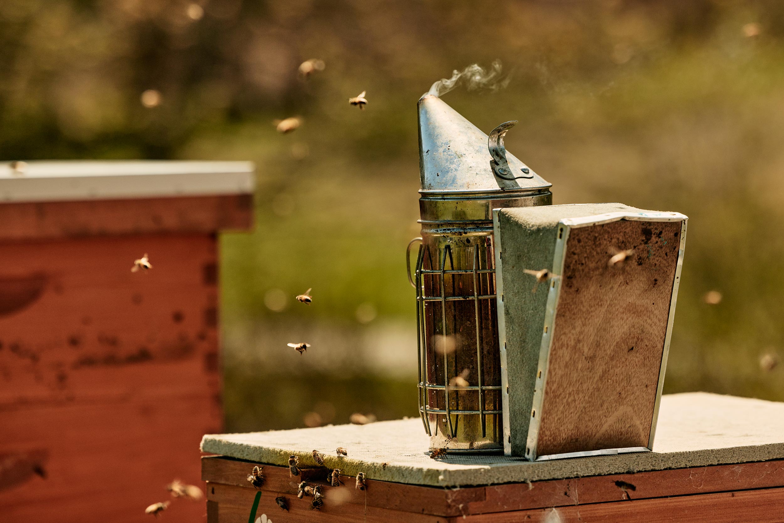 MaineBeekeepers0016
