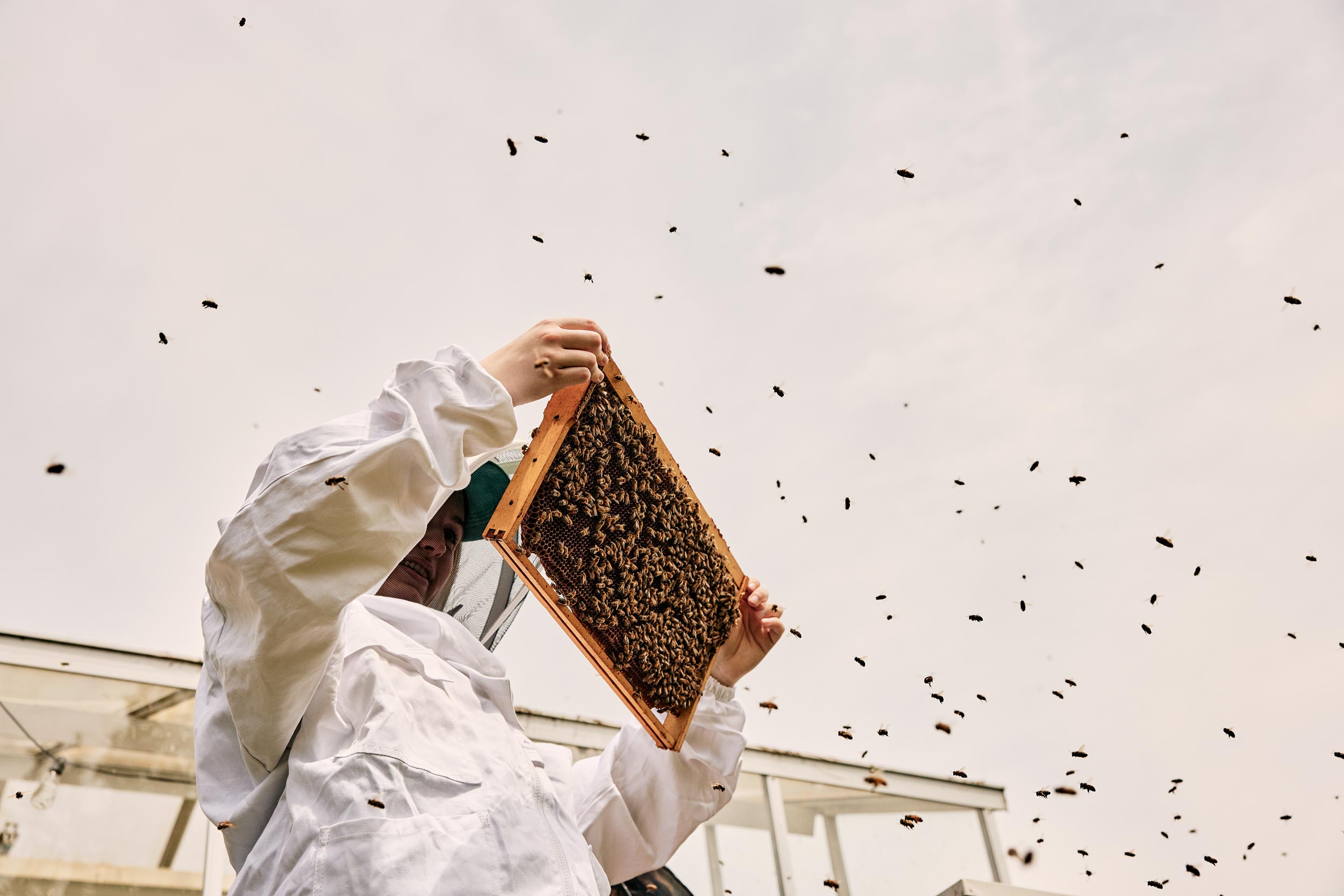 MaineBeekeepers0023