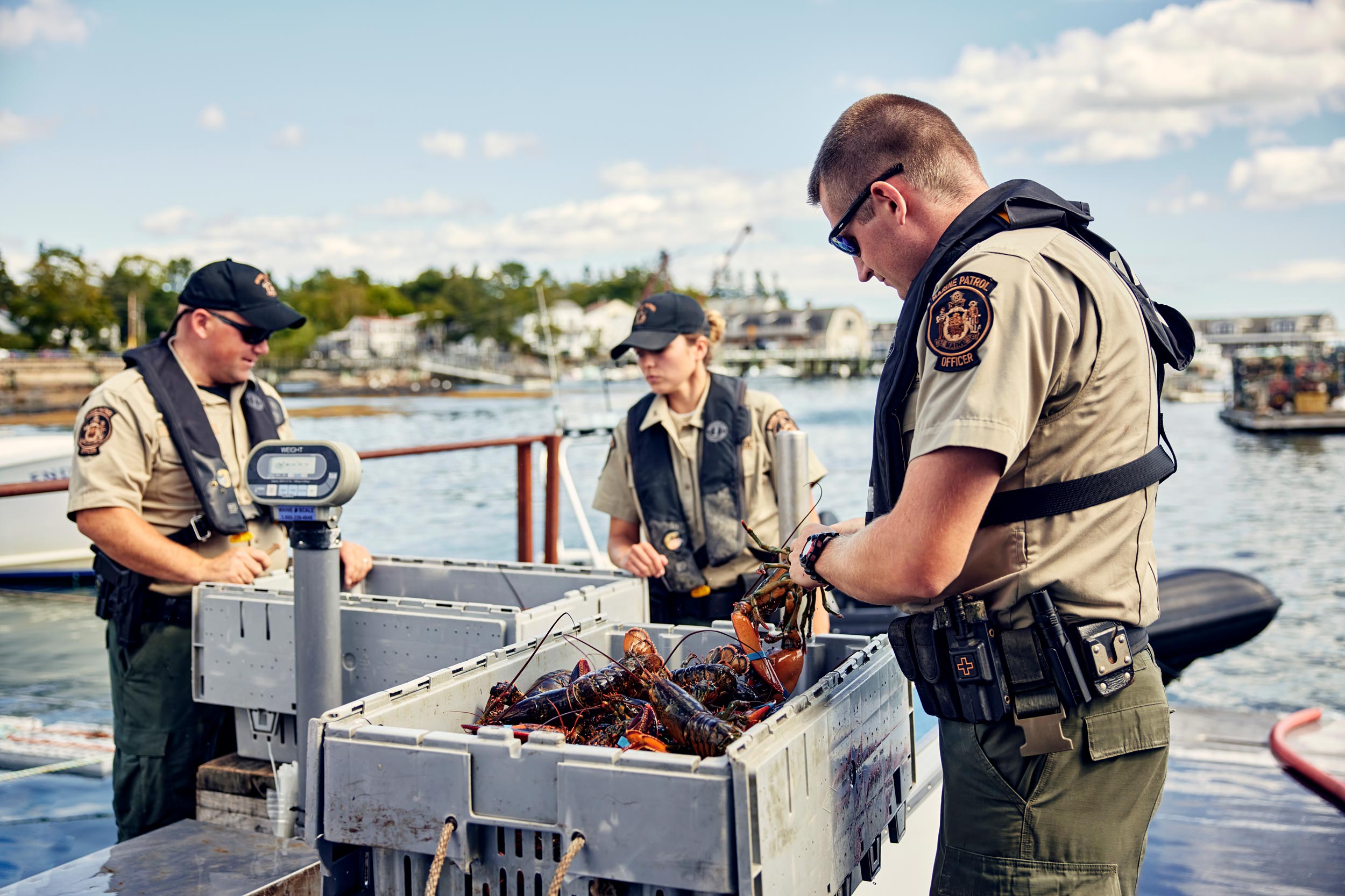 Maine marine patrol lobstering